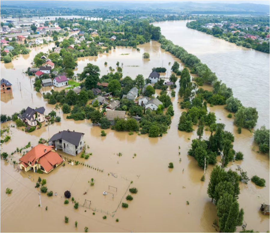 Pre/Post Disaster Management