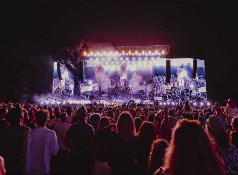 Event Organizers - Crowd Monitoring Industry